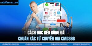 Cách đọc kèo bóng đá
