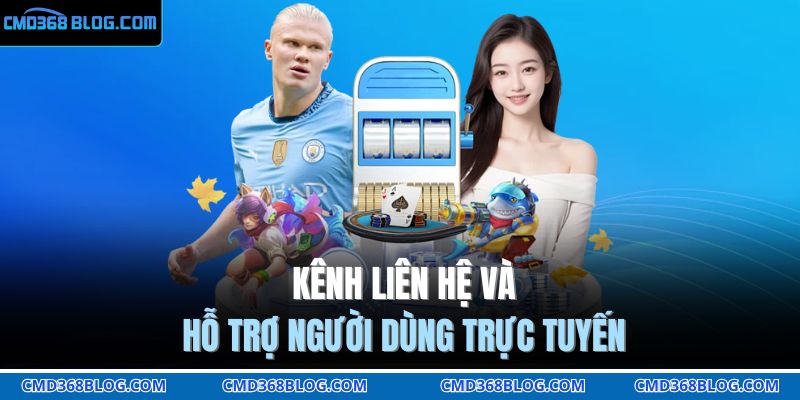 Kênh liên hệ và hỗ trợ người dùng trực tuyến