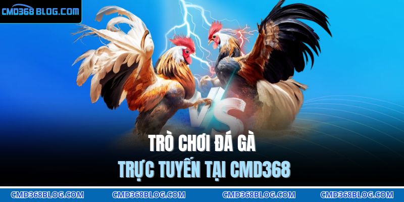 Trò chơi đá gà trực tuyến tại CMD368